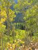 PICTURES/Grand Tetons - Death Canyon Trail/t_Death Canyon Trail-Scenery.JPG